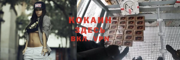стафф Дрезна