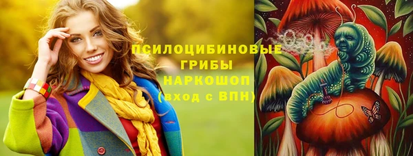 мдма Няндома